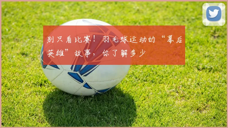 别只看比赛！羽毛球运动的“幕后英雄”故事，你了解多少