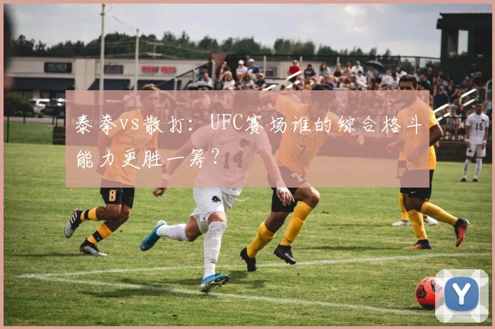 泰拳vs散打：UFC赛场谁的综合格斗能力更胜一筹？