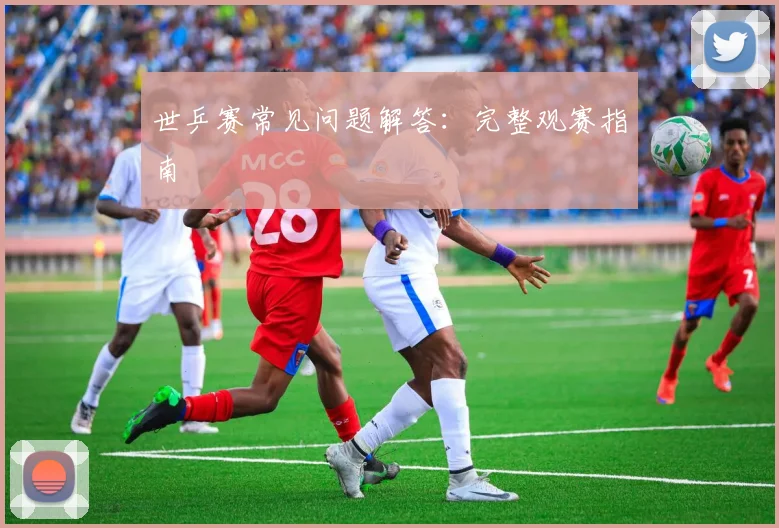 世乒赛常见问题解答：完整观赛指南