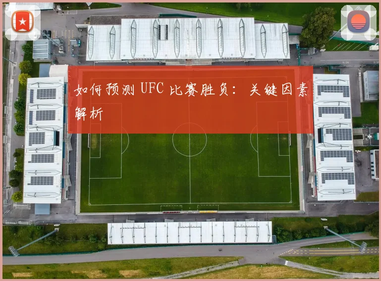如何预测 UFC 比赛胜负：关键因素解析