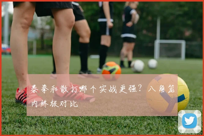 泰拳和散打哪个实战更强？八角笼内终极对比