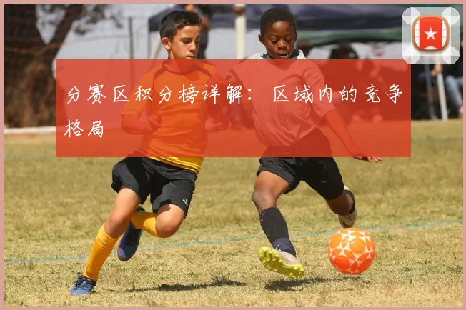 分赛区积分榜详解：区域内的竞争格局