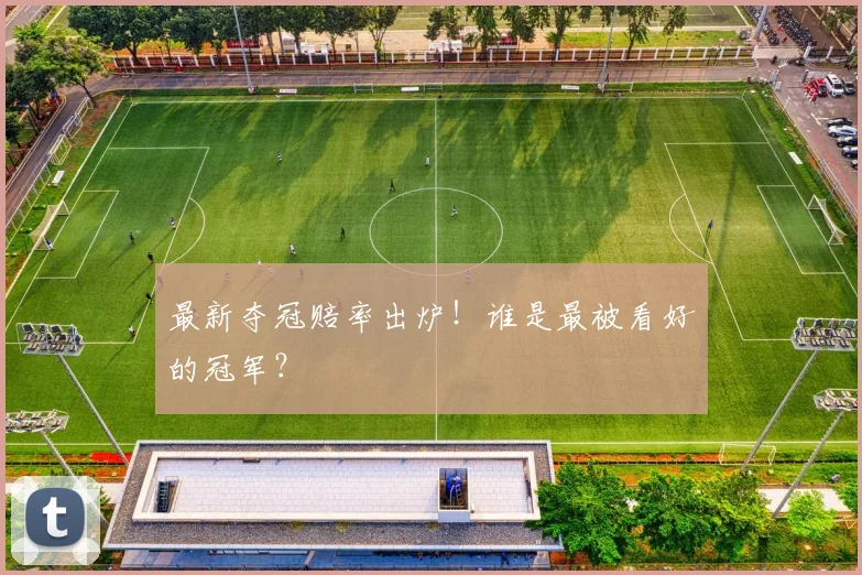 最新夺冠赔率出炉！谁是最被看好的冠军？